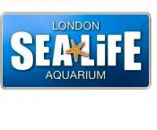 London-aquarium-image